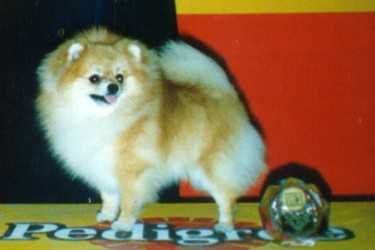 родословная/pedigree